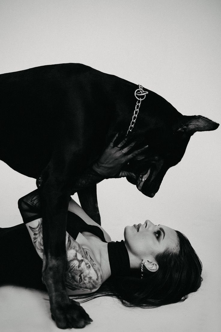 JenniferAl7596's tweet photo. Watch my dog knot me with no mercy💦
DOG DO IT BETTER see why I say so here
DM me👉 https://t.co/N4qOpDr2Sq

#zoophillia #zoosarevalid #beastiality #dogknot #zooprideisvalid #zoophile #antizoo #antizoophile #zoopride
#zoophilepride 
#Bestiality 
#JHOPE #MARK #NationsLeague https://t.co/TQCSHA2w1B