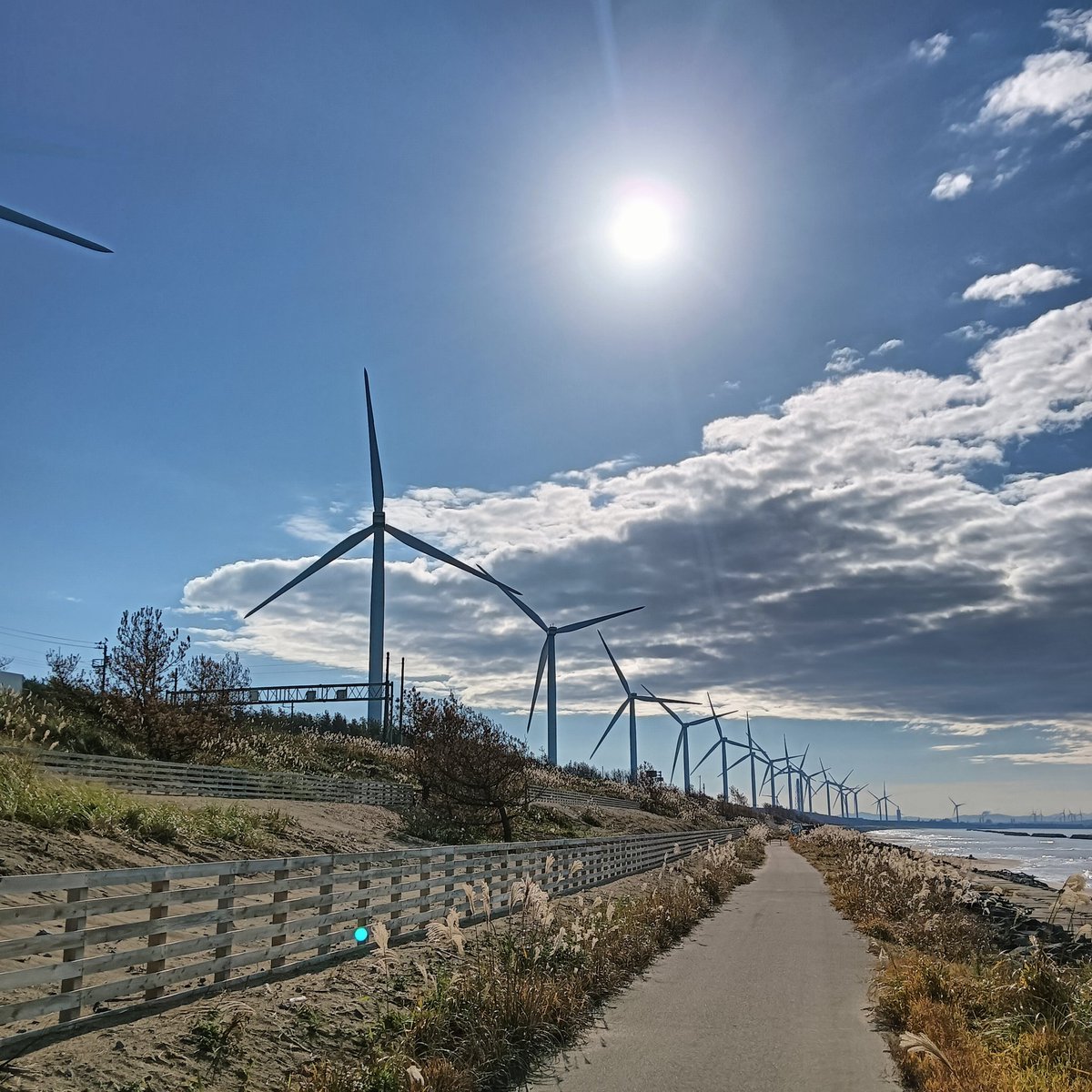 フュージョン on X