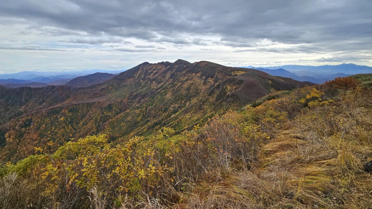 DEEPJAPANULTRA's tweet photo. The second day of the DEEP JAPAN ULTRA 100 official trial camp has ended. Starting from the Yotegetei, it is about 45 km, cumulatively 2000 m. It's really fun to run together. It was a time to be grateful for being alive in the beech forest with blue skies and autumn leaves. https://t.co/wPUZlh3L9O
