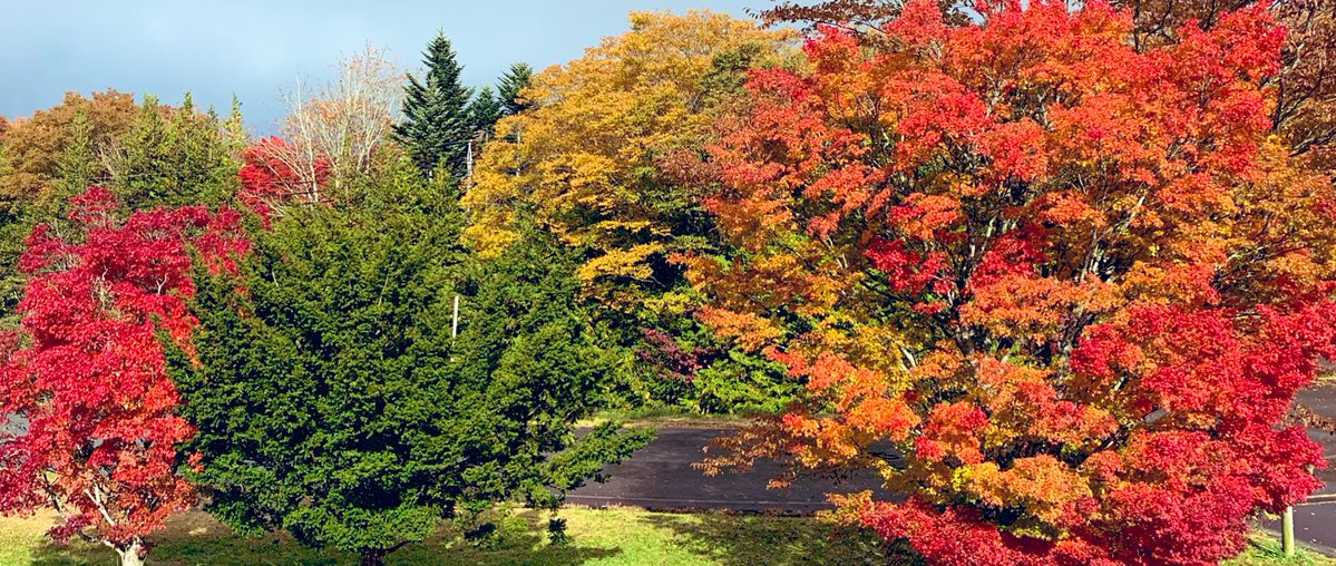 いつも地球が分からせてくれる🌈🎶✨❤️‍🔥