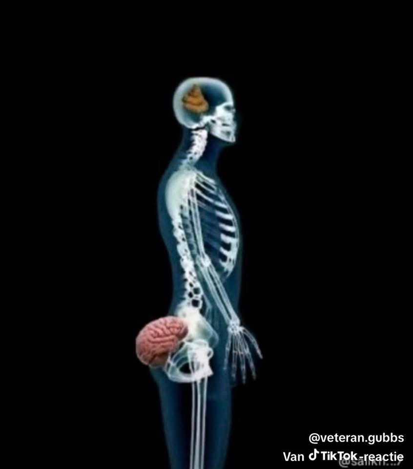 viktim_s's tweet image. Les femmes savent accoucher ici dehors massah