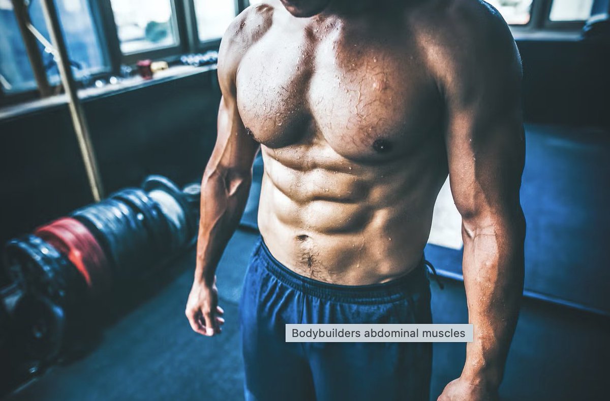 julien_pt's tweet image. A strong core = better posture, balance &amp;amp; strength. This Men’s Health guide highlights the best abs exercises for real, functional results: tinyurl.com/mvkvcew9.

Recommended!

Julien Bertherat
Personal Trainer

#CoreTraining #StrengthTraining #Fitness #JulienBertherat