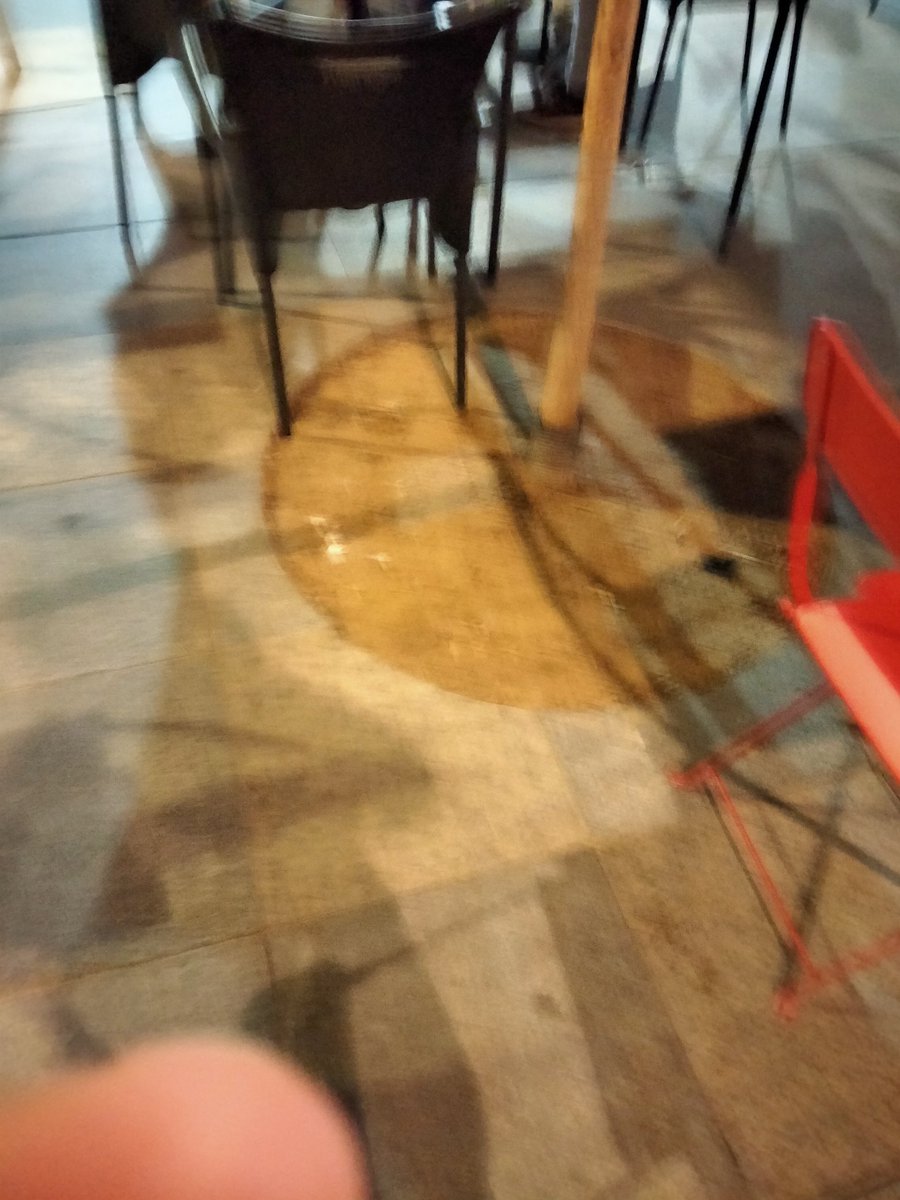 ¡Pero qué manía le tienen al pobre arbolito! Hostelería, baruchos, depredadora...calle Regina
<a href="/acomosi/">Acomosi</a> <a href="/AmparoGraciani/">Amparo Graciani</a> <a href="/Ayto_Sevilla/">Ayuntamiento de Sevilla</a> <a href="/DavidLp32705032/">David López</a> <a href="/Jacapaca826518/">🪳BernardaGui</a> <a href="/Sevilla_Dor/">Sevilla D'Or Ciudad del Velador</a> <a href="/SevillaSeMuere/">Sevilla💀 Se Muere</a> <a href="/Sevilla_Dor/">Sevilla D'Or Ciudad del Velador</a> <a href="/lagartija_ros/">Rosie la remachadora 🇪🇺</a>