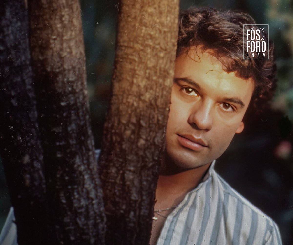 ¿Quién era realmente #JuanGabriel? Su nueva serie lo revela como nunca antes. 🎤🌟
Nuestra colaboradora Nataly Olascoaga conversa con <a href="/mariajosecuevas/">María José Cuevas</a>, directora de "Juan Gabriel: debo, puedo y quiero", sobre la persona detrás del Divo. Disponible aquí: bit.ly/477bBWZ 🎬