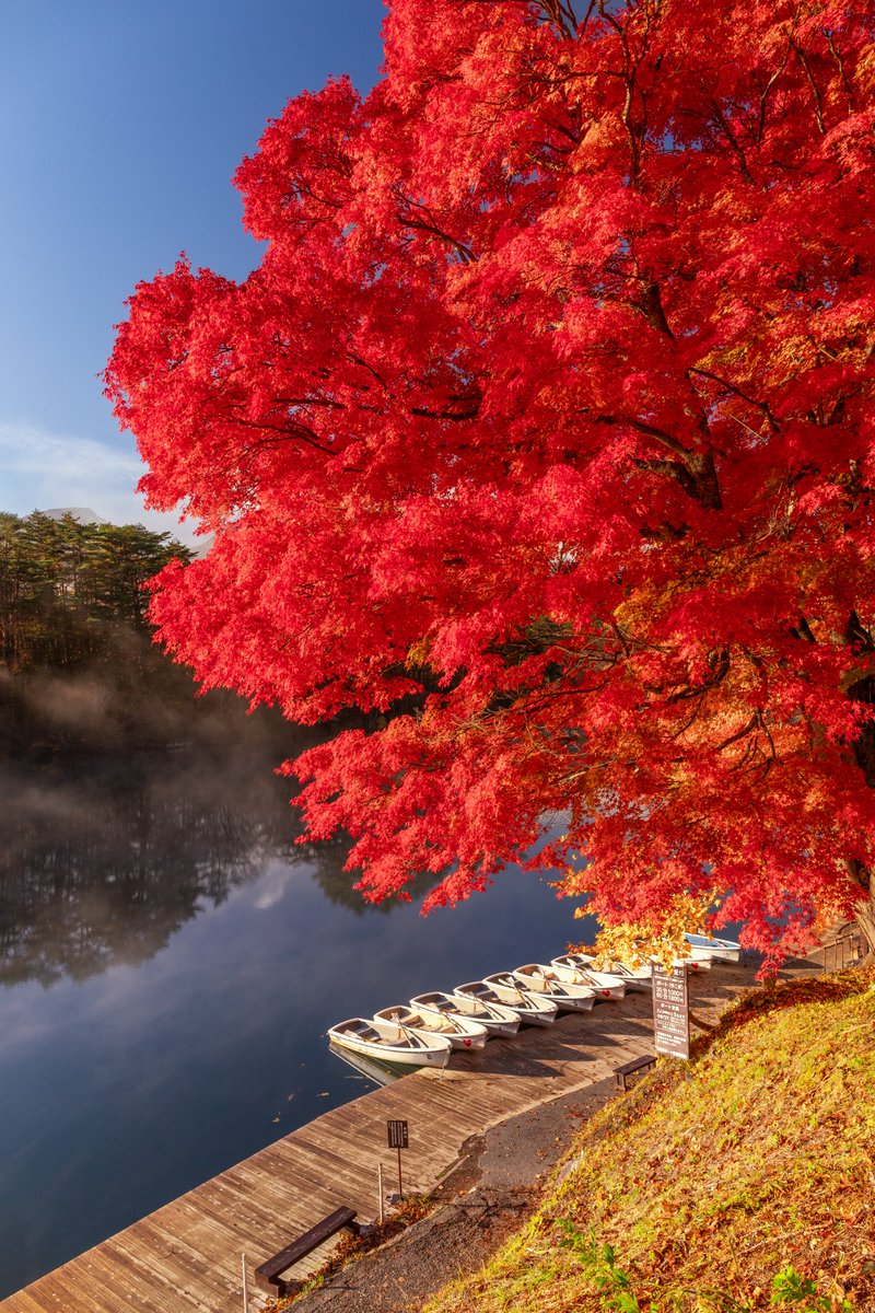 今朝の裏磐梯の紅葉が美しすぎたから見て