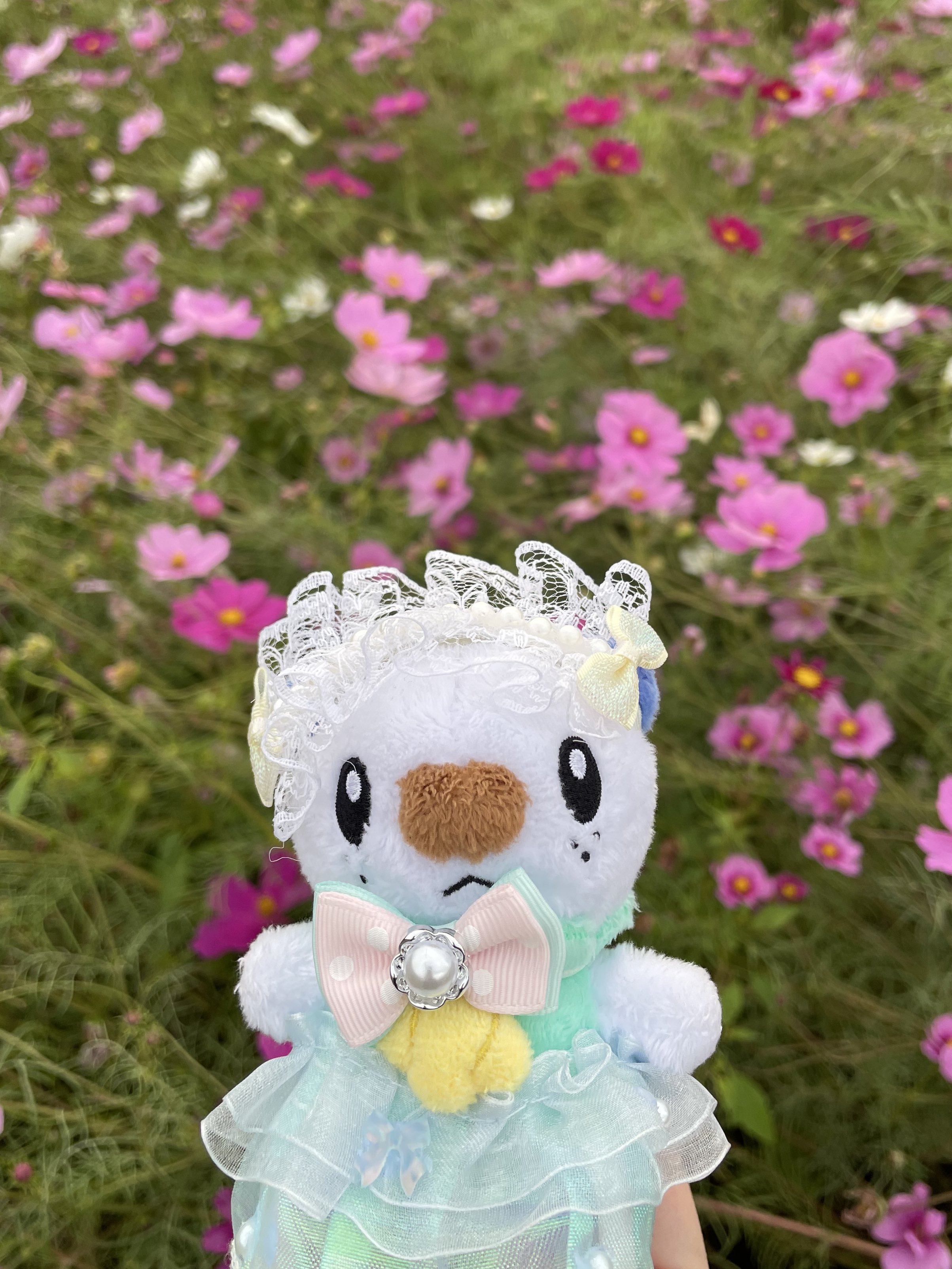 11月なったのでいいねした人に一言 - Search / X