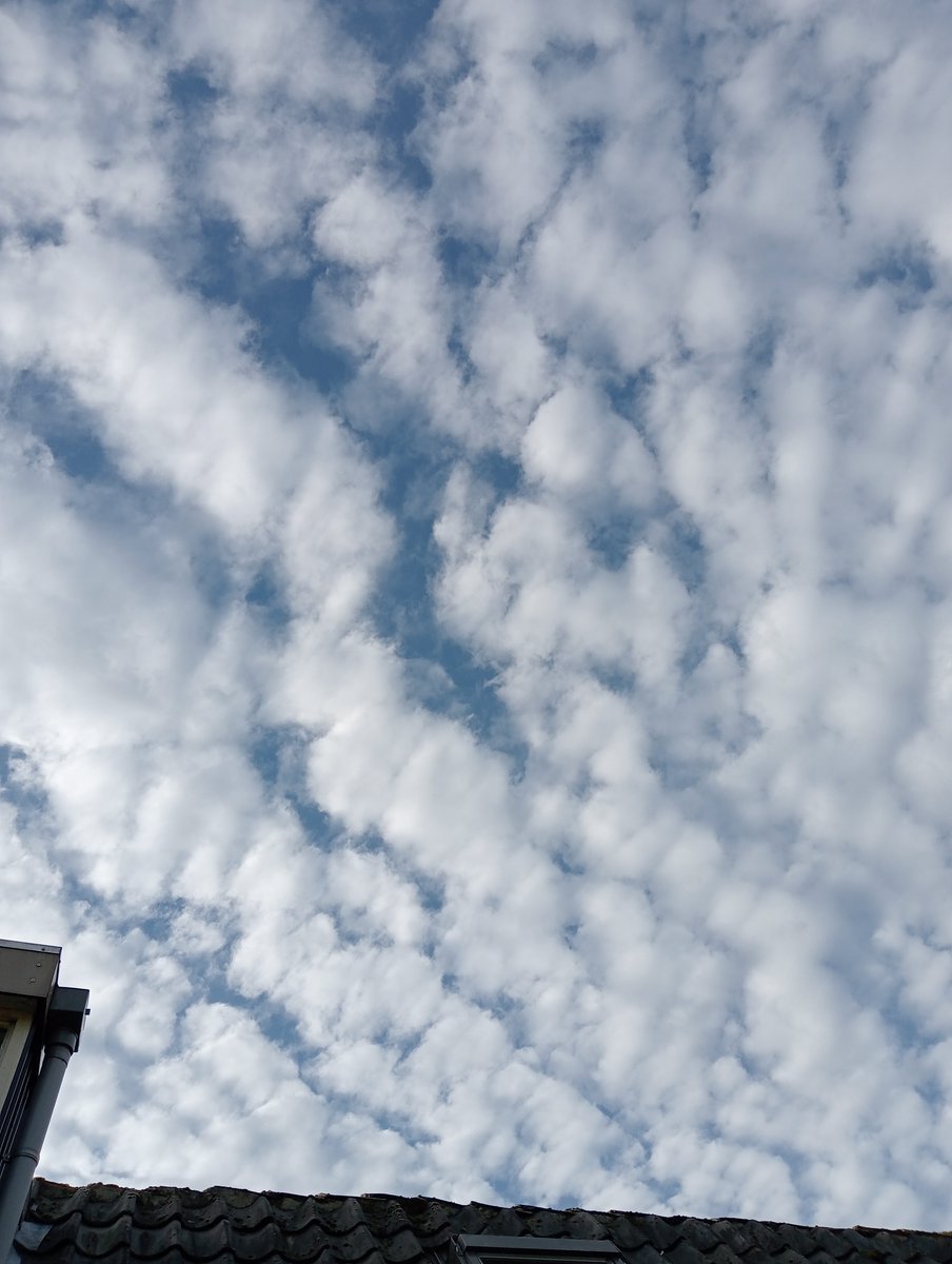 Lavante21575499's tweet image. Even more Netherlands, November 5th. I&apos;m so freaking done with this crap. #geoengineering is a crime against all that lives. STOP #GEOENGINEERING NOW!!