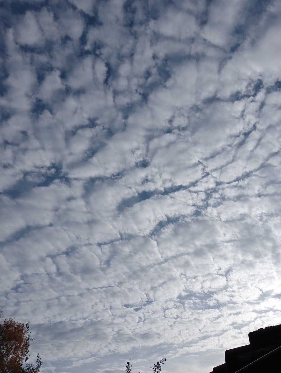 Lavante21575499's tweet image. Even more Netherlands, November 5th. I&apos;m so freaking done with this crap. #geoengineering is a crime against all that lives. STOP #GEOENGINEERING NOW!!