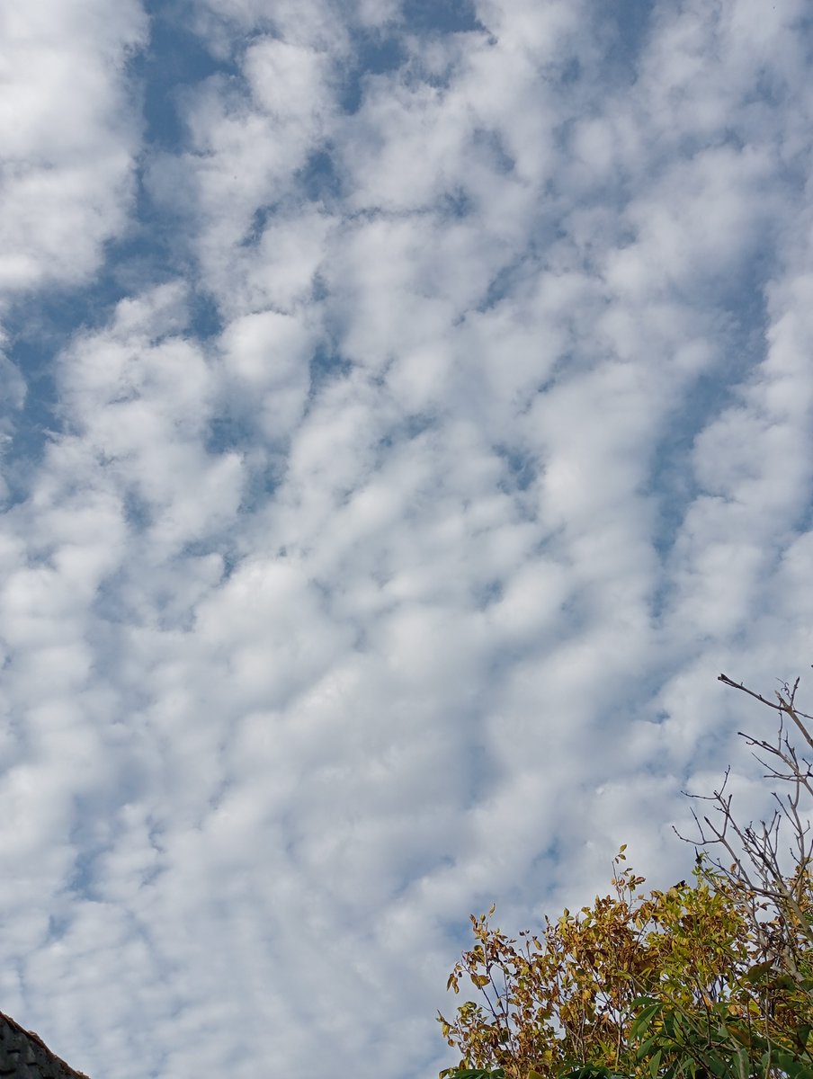 Lavante21575499's tweet image. Even more Netherlands, November 5th. I&apos;m so freaking done with this crap. #geoengineering is a crime against all that lives. STOP #GEOENGINEERING NOW!!