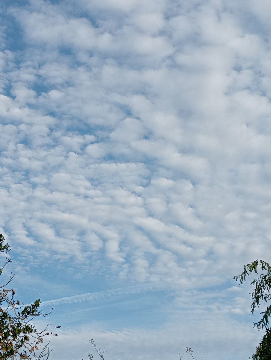 Lavante21575499's tweet image. Even more Netherlands, November 5th. I&apos;m so freaking done with this crap. #geoengineering is a crime against all that lives. STOP #GEOENGINEERING NOW!!