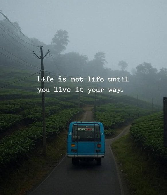 richme_io's tweet image. This is me HODLing my random #memecoin:
• Everyone says “stick to blue chips”
• Analysts call it “a scam”
• My portfolio's on a foggy road no one else wants to take
But life (and crypto) isn't life until you bet on your vibe.
#MemecoinVibes #CryptoRebel