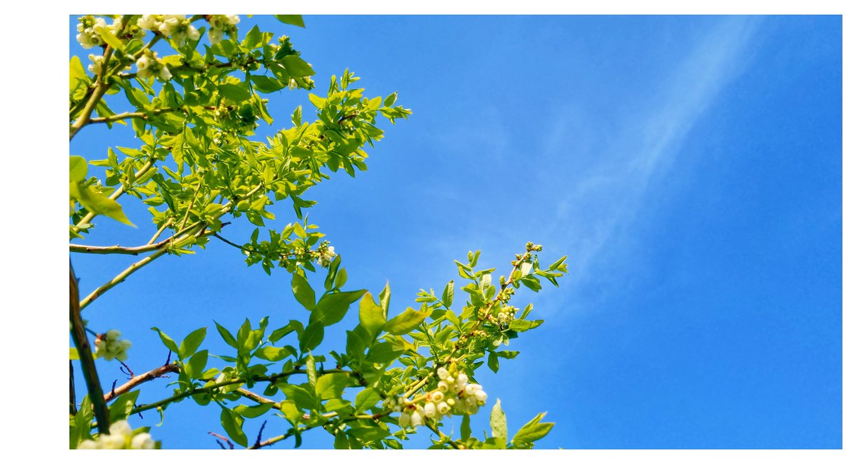 울적한 날에 보는 좋은 기억 𓈒𓏸