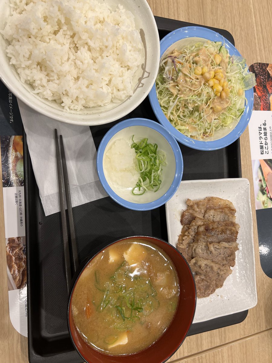 ♀ぶんぶく茶釜♀様☆オーダーページ 11月5日 松葉菊 . . . イラスト等の無断転載・使用はご遠慮