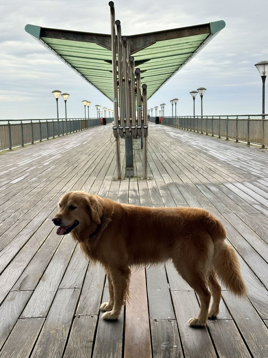 We’re at #boscombe pier 💛🐾🐾💛

#Bournemouth