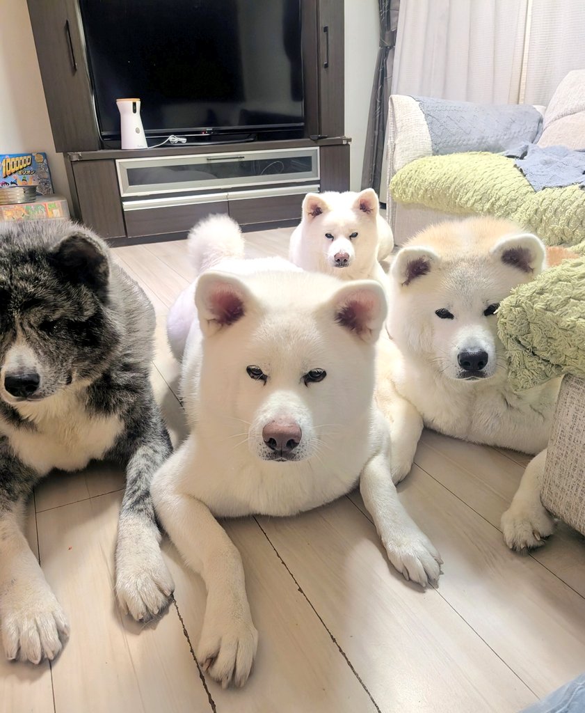 ْ (@65907_30_4) / Posts / X