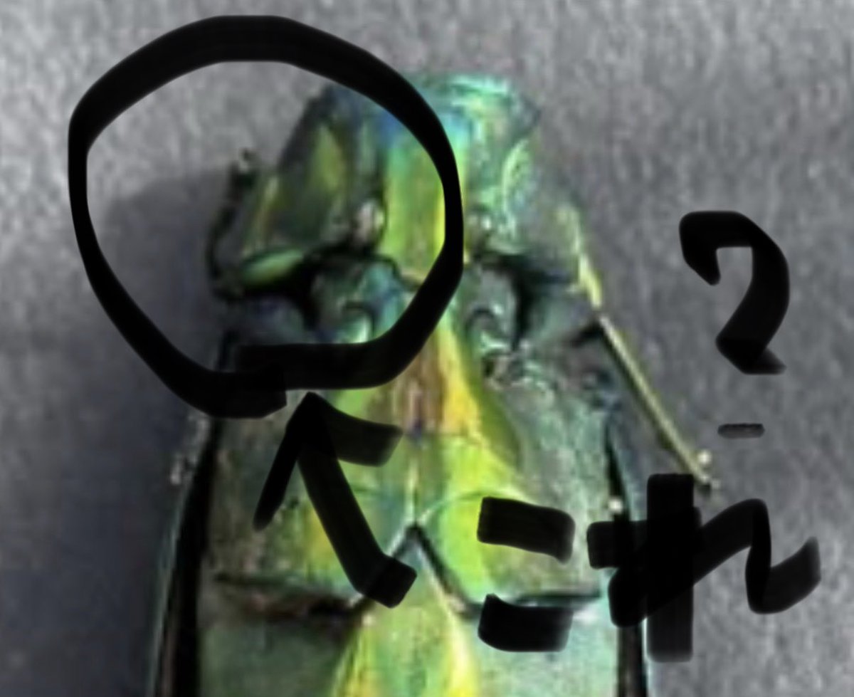 kinioki_kahumai on X