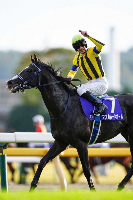 【競馬】秋天を制したマスカレードボール、ジャパンCへ