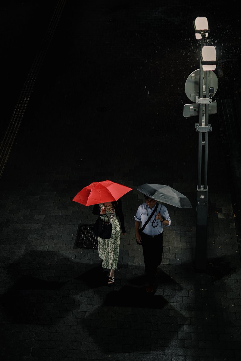 Under the Same Night