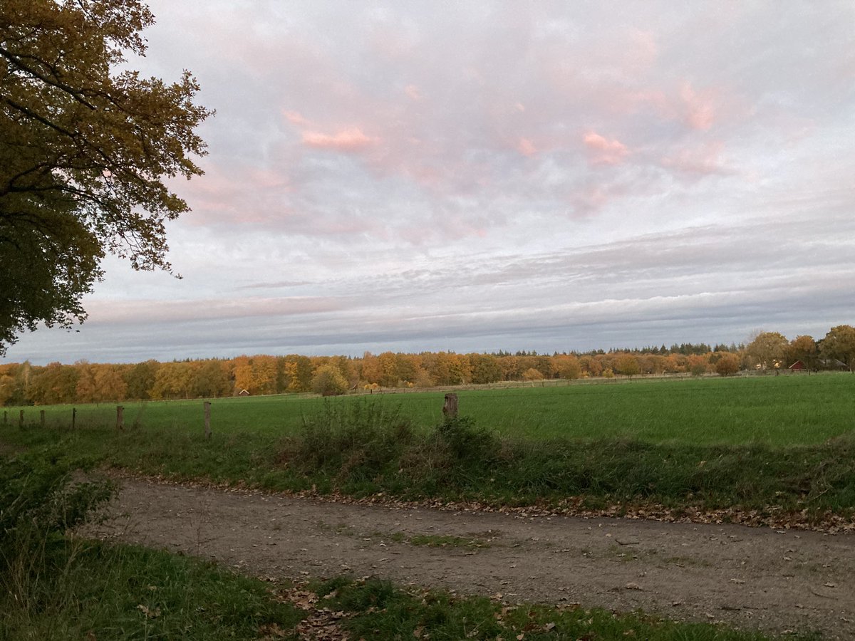 #inhetvoorbijgaan #trapsgewijs
# Stiltewandeling #noetselerberg 
#woensdag 5 november #Noetselerberg