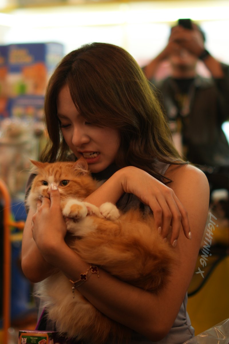 Light_ning_X's tweet image. akhirnya skian lama bisa melihat mu lagi @_zeeasadel 😊
@.Dino malu2 yaa

Ice BSD - IIPE Whiskas booht ~ 01112025