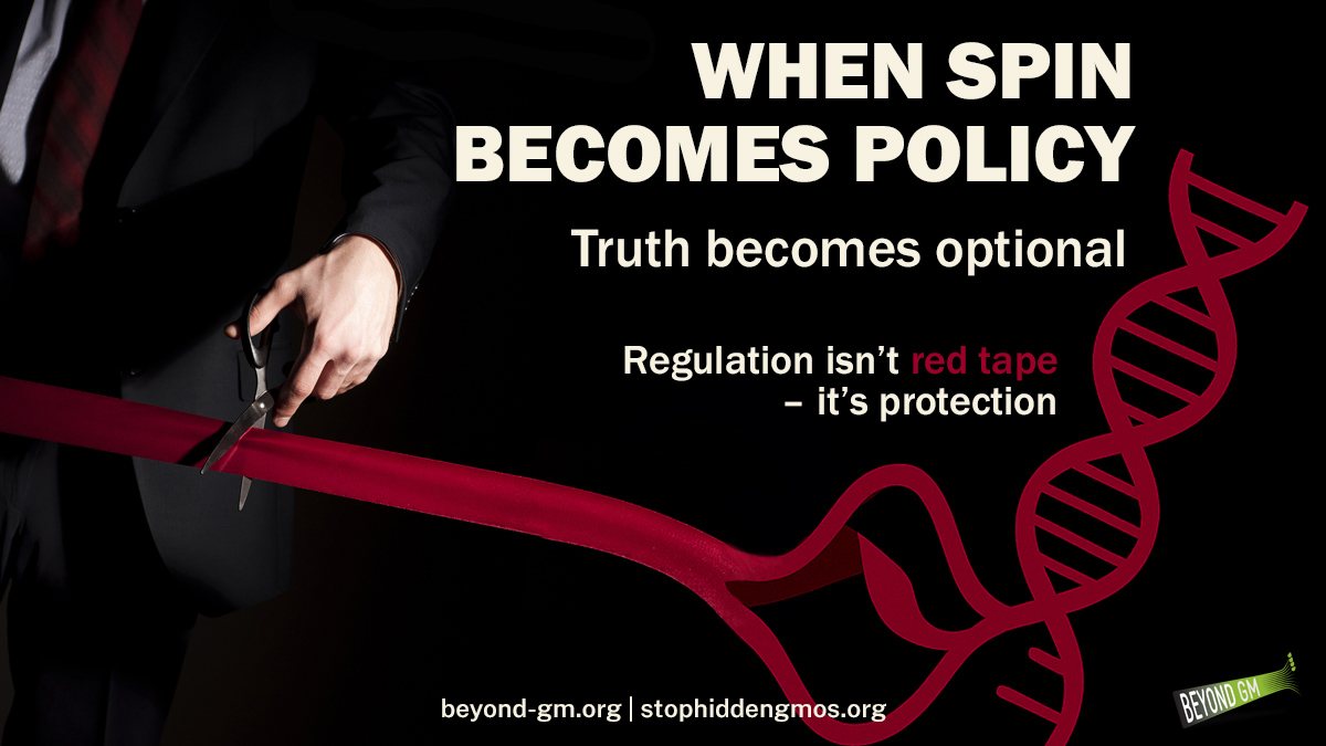 1/ Earlier this year, in the final days of the parliamentary debates on the new Genetic Technology Regulations, Ministers and Peers stood in Parliament and sold deregulation of genetically modified precision bred organisms (GM-PBOs) as an economic miracle...a🧵(link at the end)