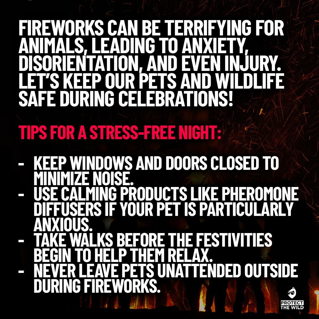 In an ideal world people wouldn't use fireworks at all!