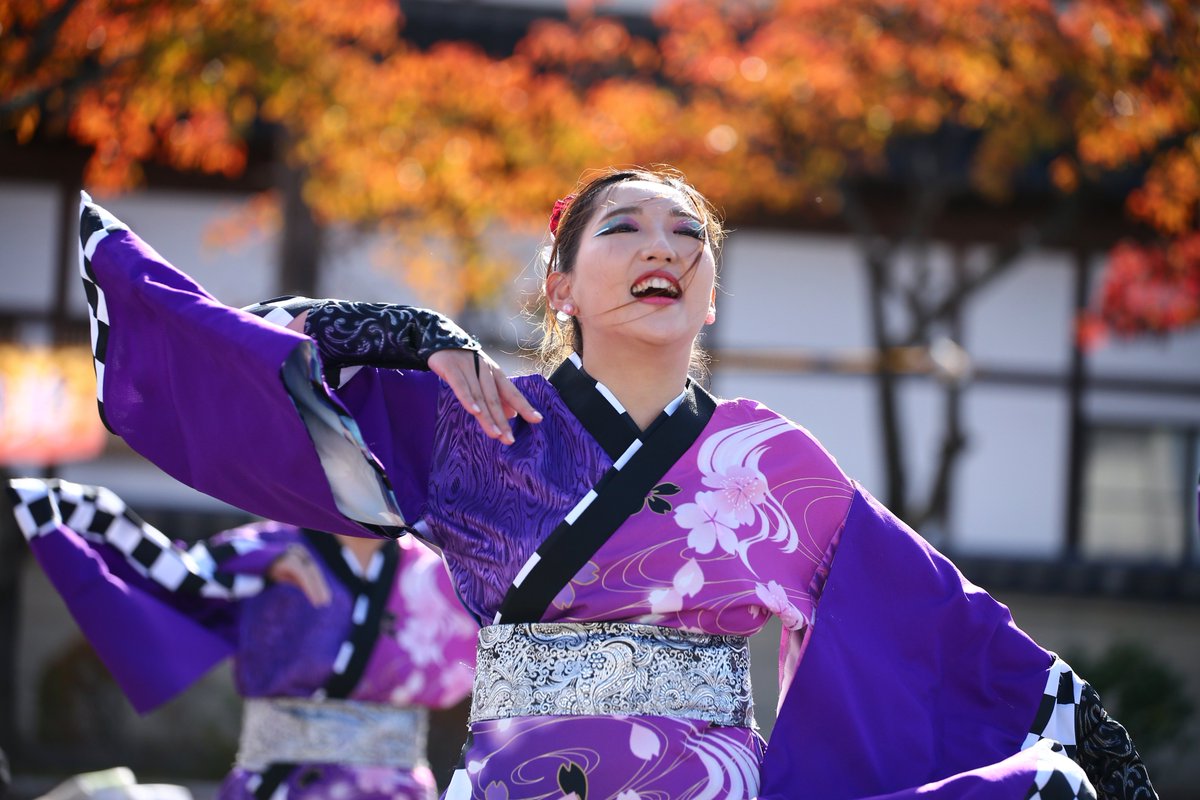 🌸桜蓮迦🌸 (@y0sak0i_0urenka) / Posts / X