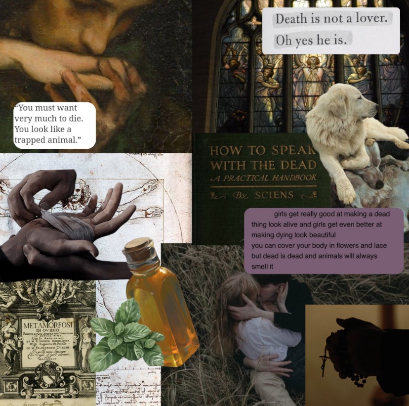 Reid is revising!! tweet media