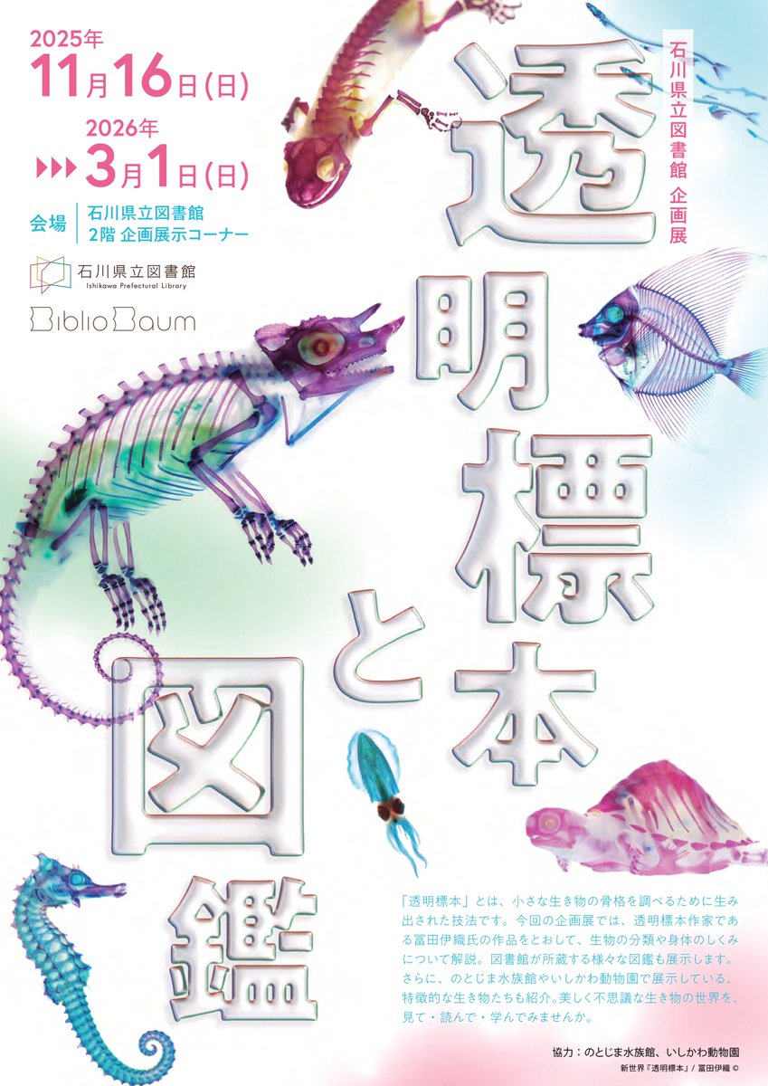 冨田伊織 - 新世界『透明標本 』 (@shinsekai_th) / Posts / X