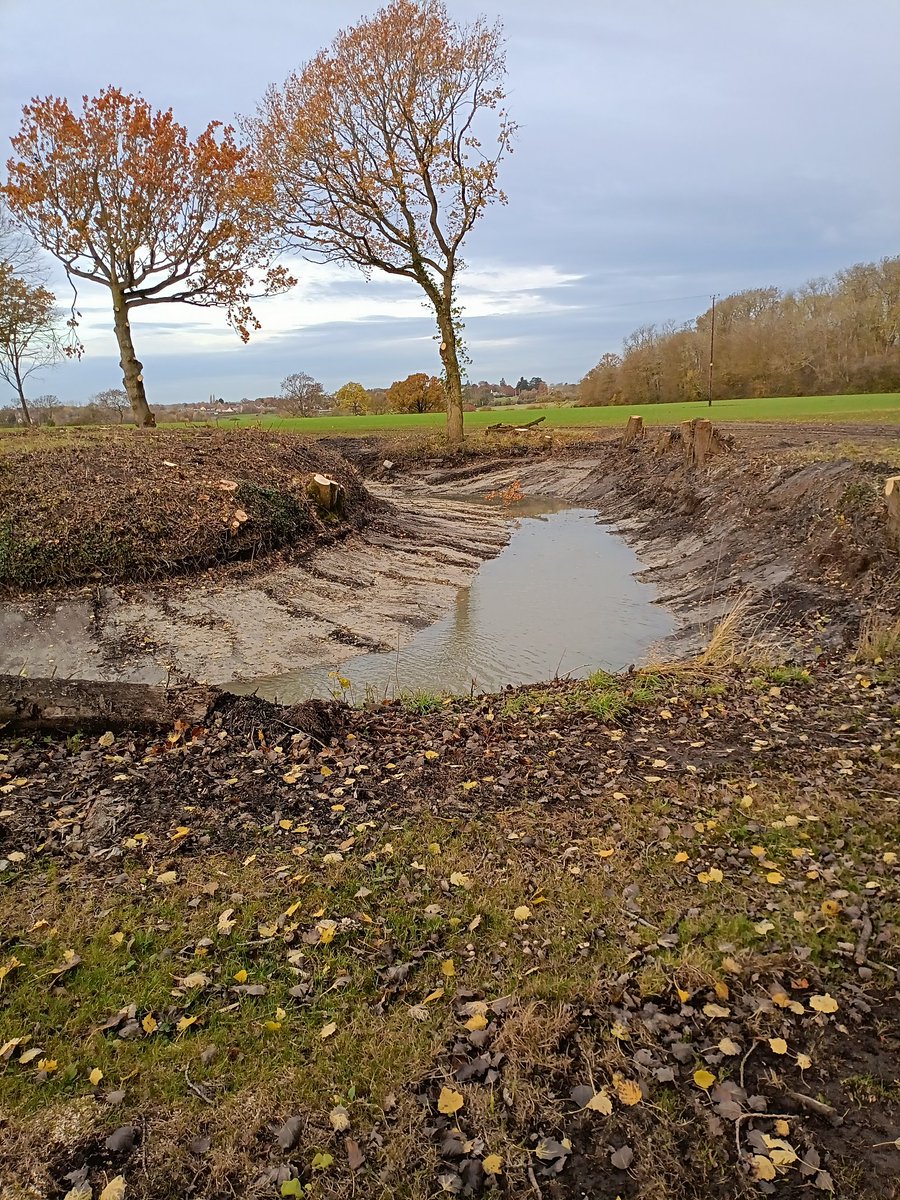 John Walshe tweet media