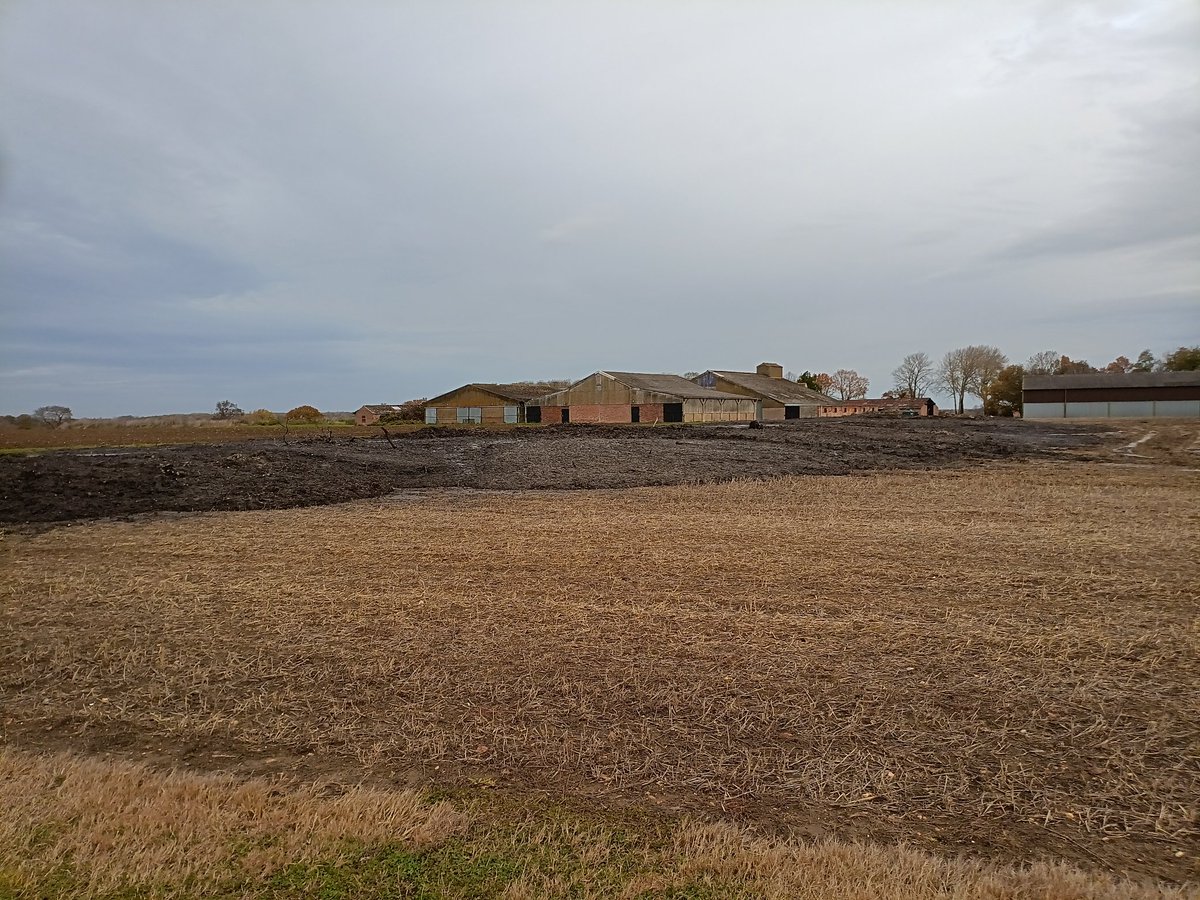 John Walshe tweet media