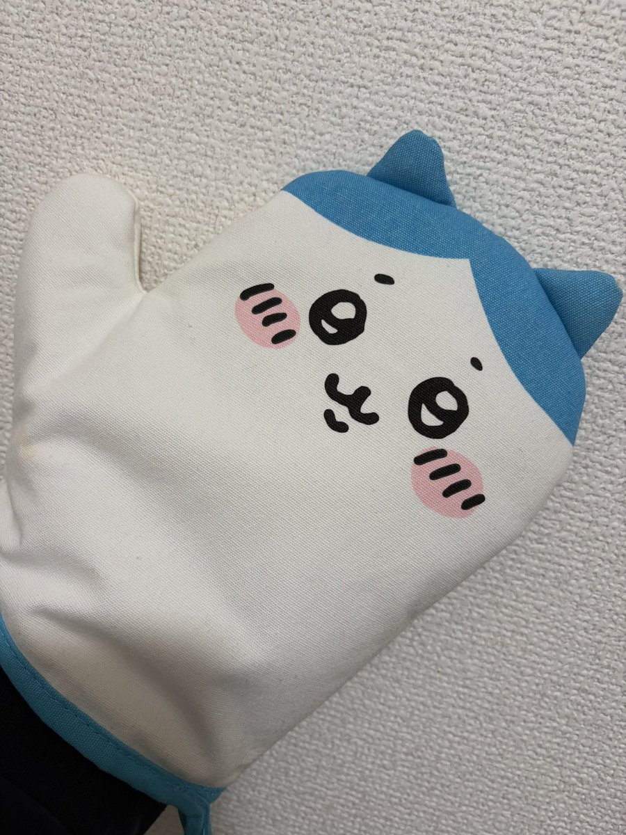 パチワレちゃん (@waikikiyade) / Posts / X