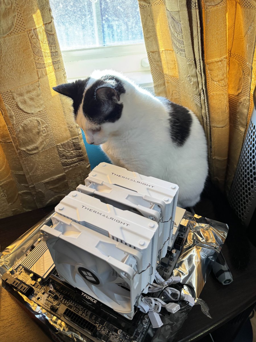 Axanss's tweet image. 