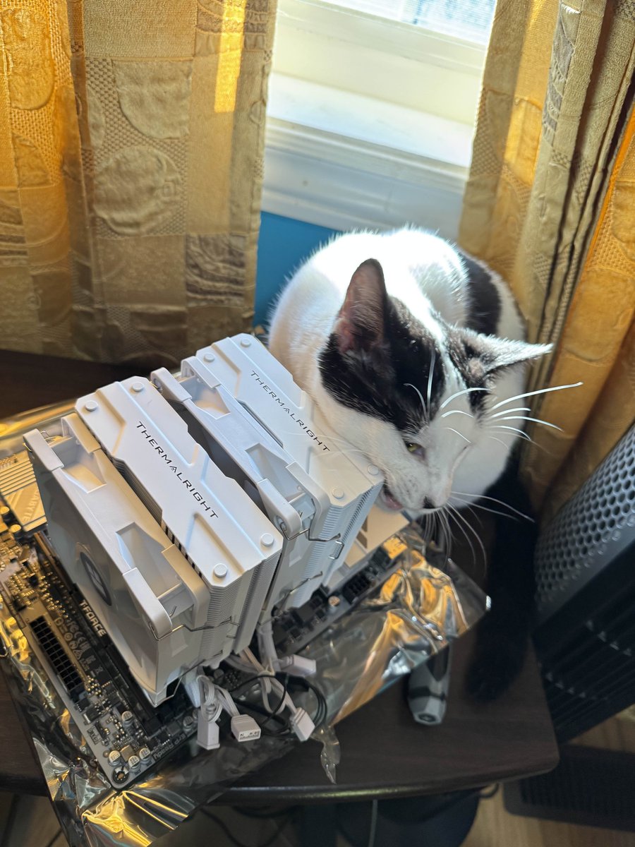 Axanss's tweet image. 