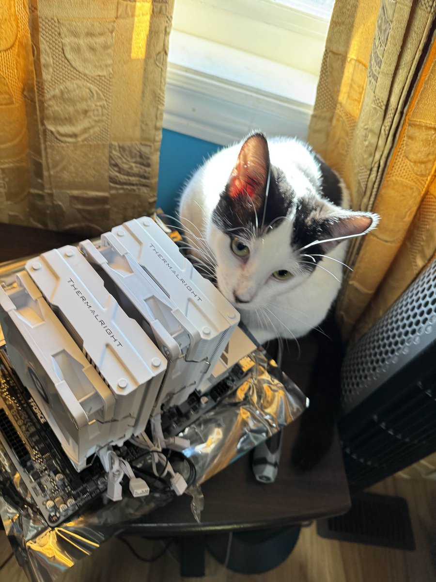 Axanss's tweet image. 