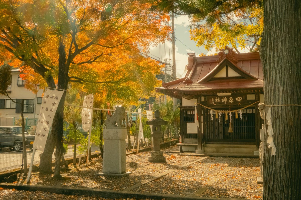 nv2kı (@mirrorsedge_) on Twitter photo 