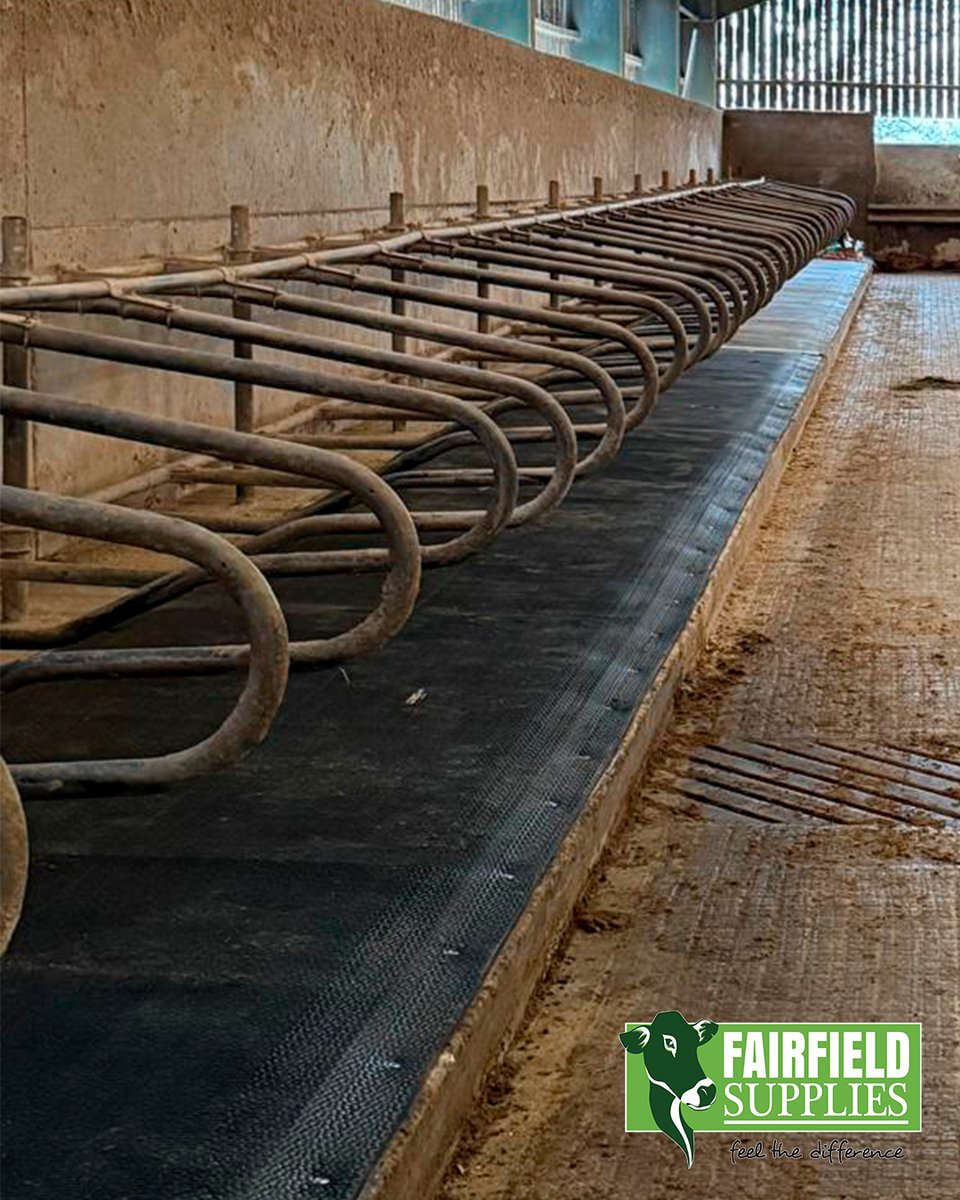 🐄 SoftBed Special Offer!

The premium mattress system farmers love for it's proven lying time, durability and six star cushion rating!

✅16 hrs/day lying time 
✅Healthier cows, more milk 
✅10-year guarantee
Act fast - limited-time pricing! 

#farming #farmer #FarmLife