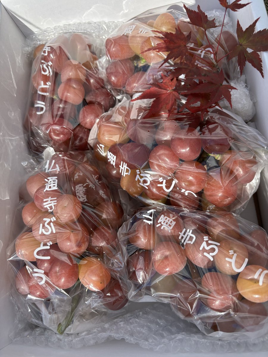 ネギページ さきチ｜Kuwadafarm｜ぶどう梨白ネギ on X