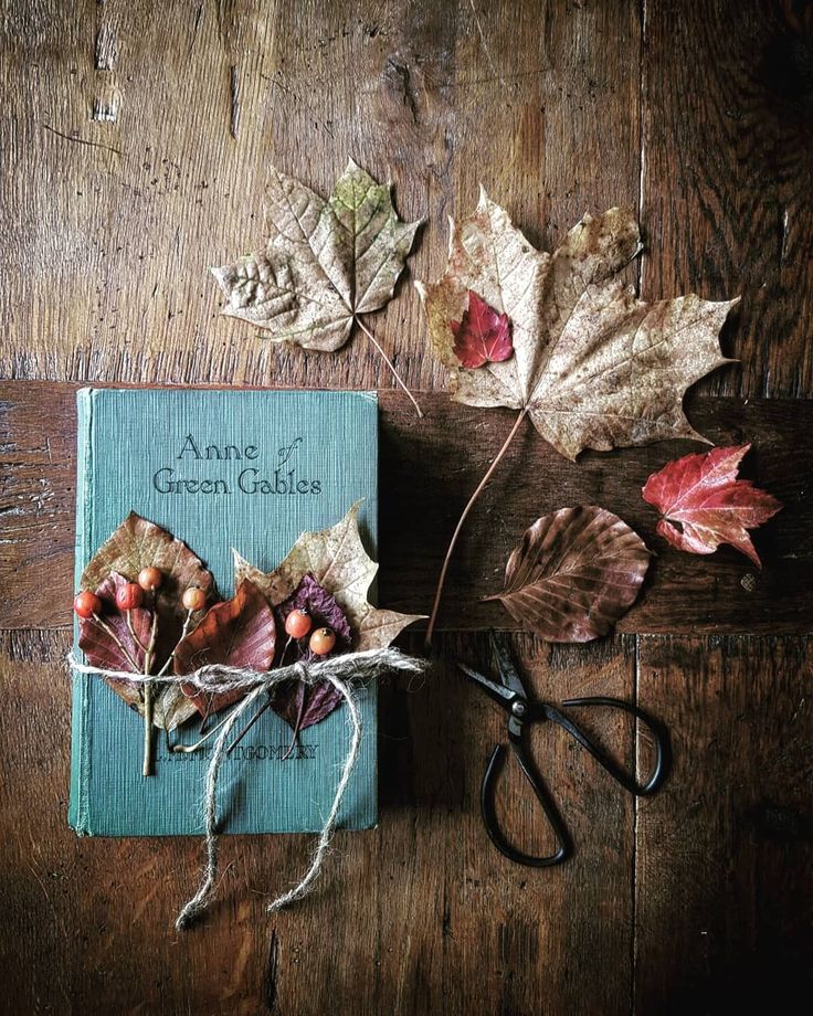 🌼

...e mi troverai #soltantoDove canta il vento.

🩷