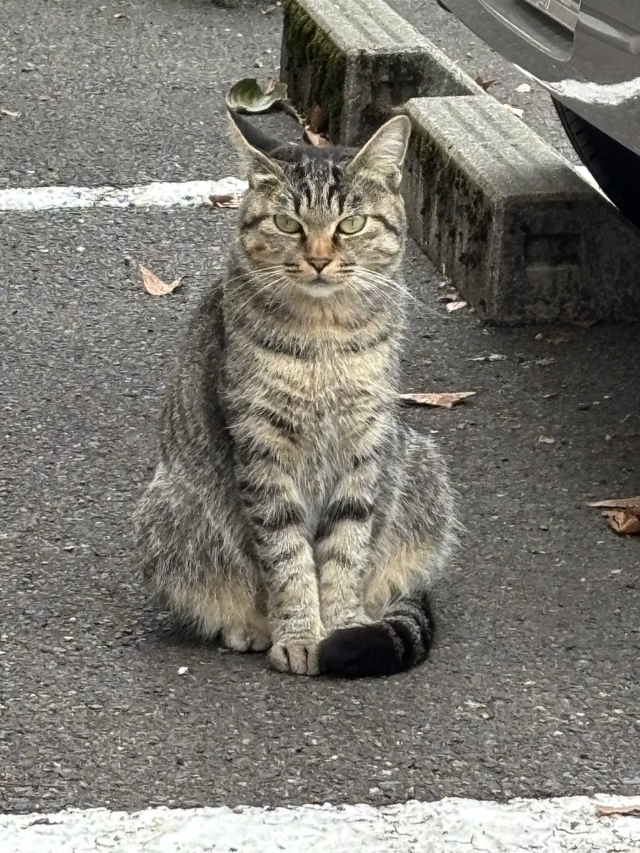 きょんちゃん✿ฺ (@pYnWZzTDiesRhzd) / Posts / X