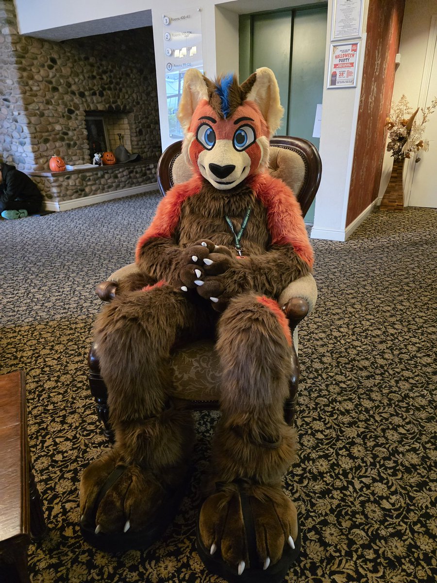 Hi. 

📸: <a href="/MeekoTooth/">Meeko</a>