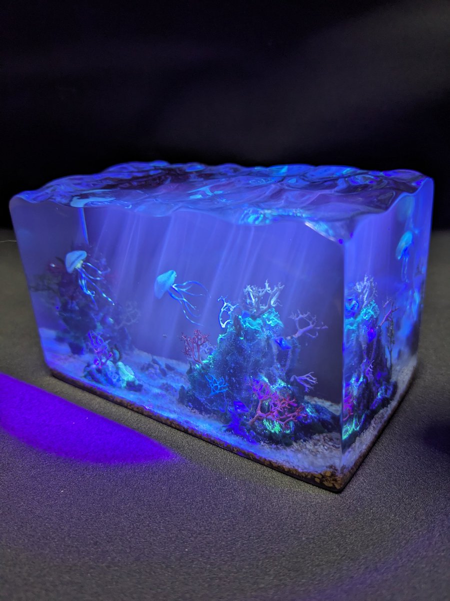 海月様 ウサギじゃないけど「ウミウサギ」 エビとカニの水族館で正月気分を