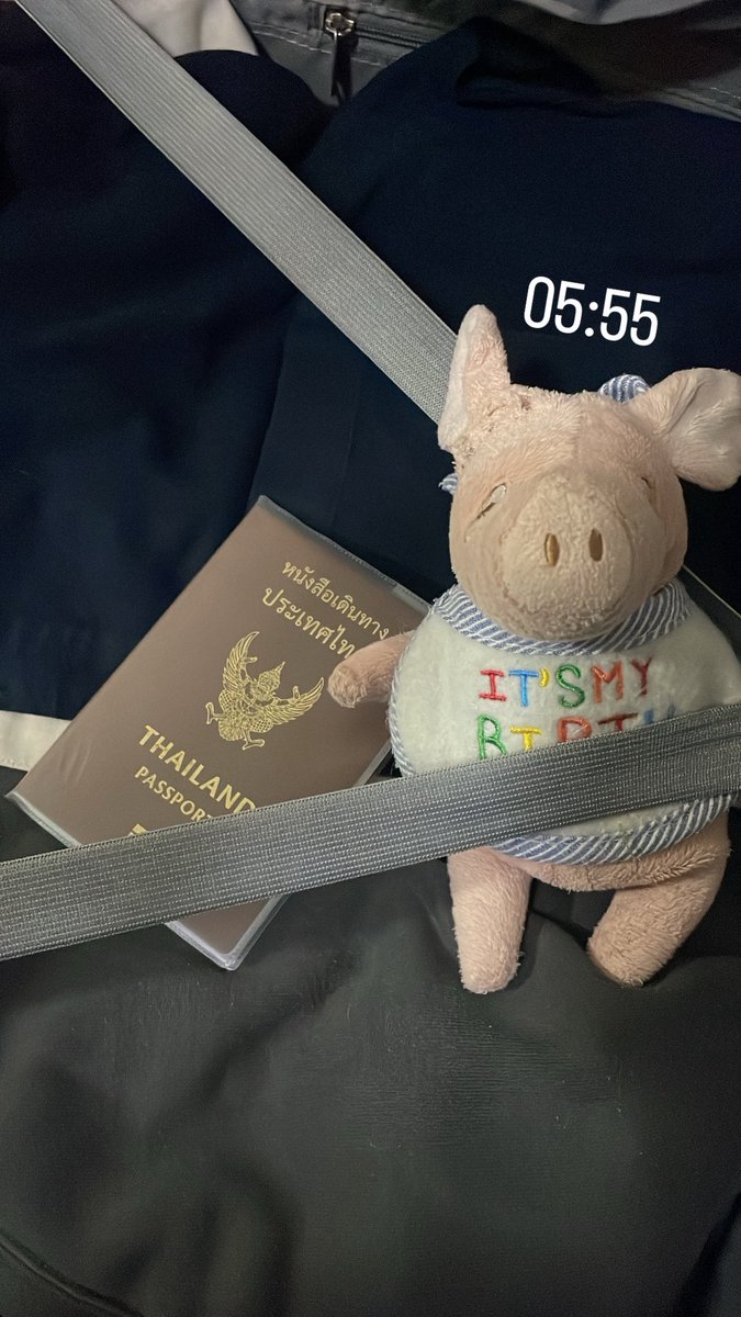 เวลาไปทำงานไกลๆ เช่น กทม. หรือ ตปท จะพกตุ๊กตา หมูikea  ของเมลเบิร์นติดตัวตลอด
