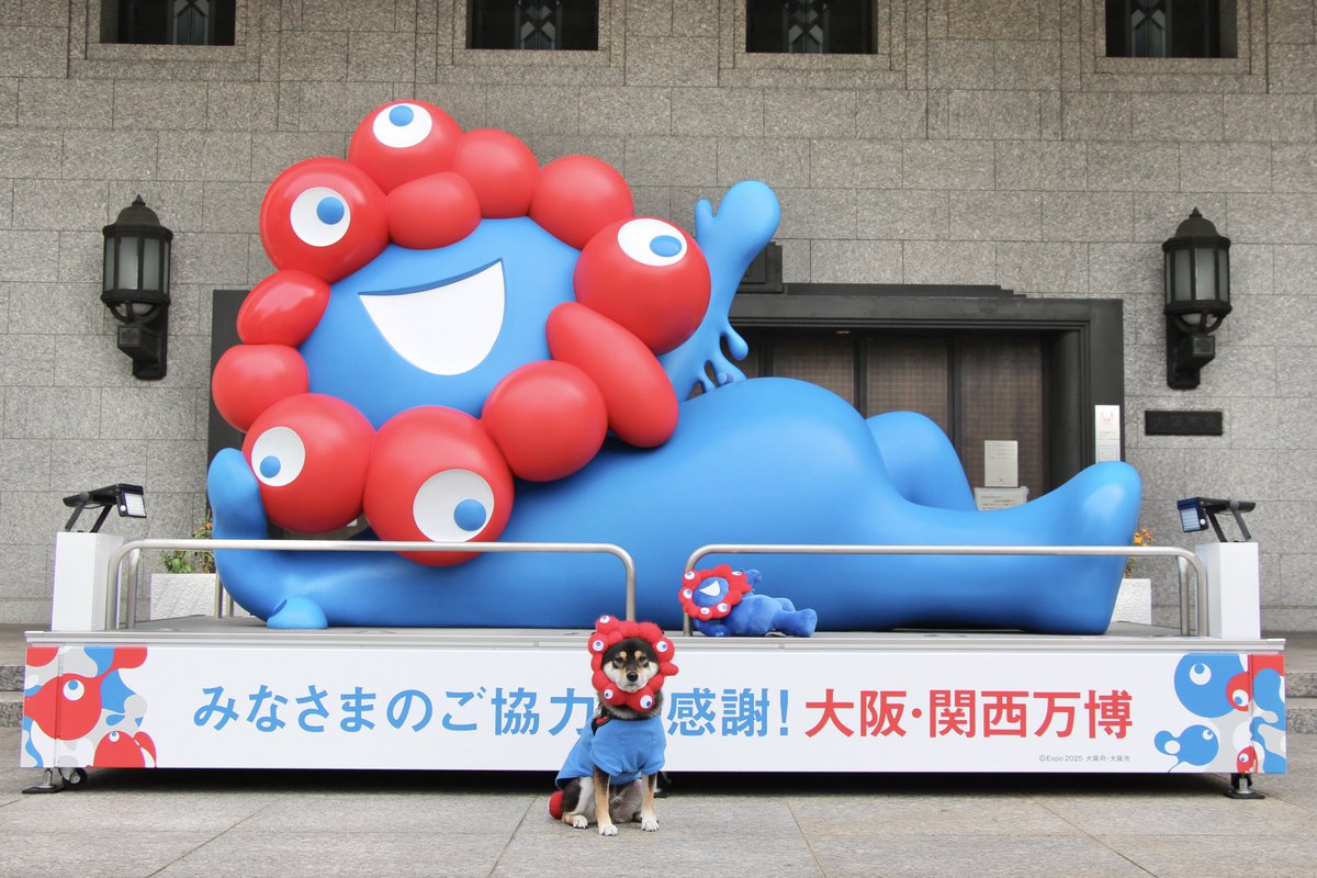 黒柴あさひ (@krsb_c1214) / Posts / X