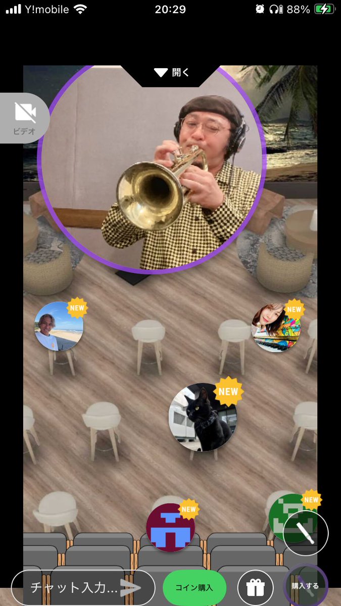 みぃちゃん🐱🎸 on X