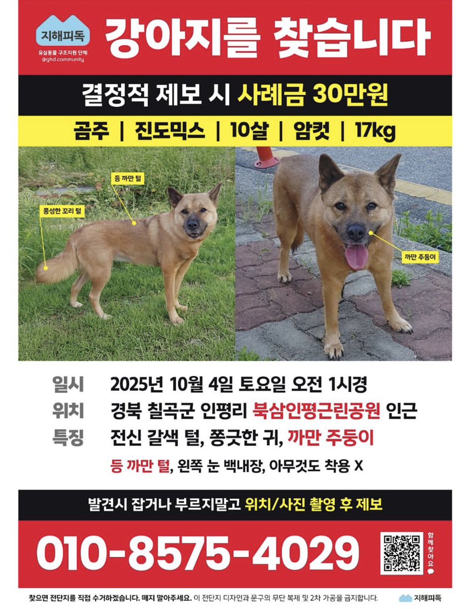 가호 엄마 곰주가 실종되었습니다.
오늘 지해피독에 올라왔는데 날짜를 보니 벌써 실종된지 한달이네요..
경북 사시는분들 눈여겨 봐주시면 감사드리겠습니다ㅠㅠ