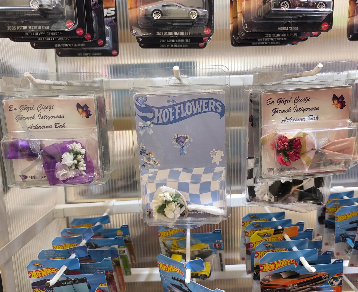 Erkeklerin neden koleksiyon yaptiklarini simdi daha iyi anladim