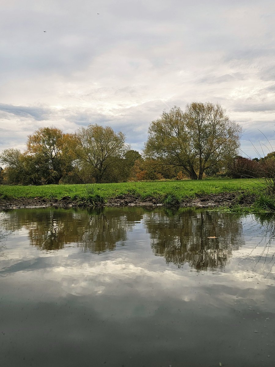 annaJones980's tweet image. Moody sky with autumnal reflection.

#TreeClub 🌳