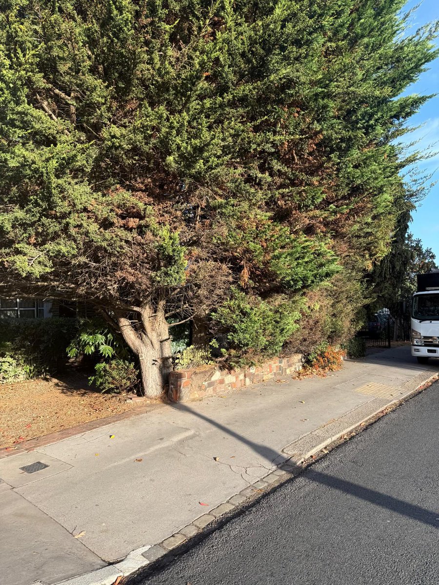 CPMaintain's tweet image. ✅ The CPM team have just completed this new brick wall for a home in Shirley, Croydon. The results made for one very happy customer. 🙌

☎️ 0800 3032745 

#croydonpropertymaintenance #wall #shirley #walling #brick #property #maintanance #smallrepair #quick #help #home #london
