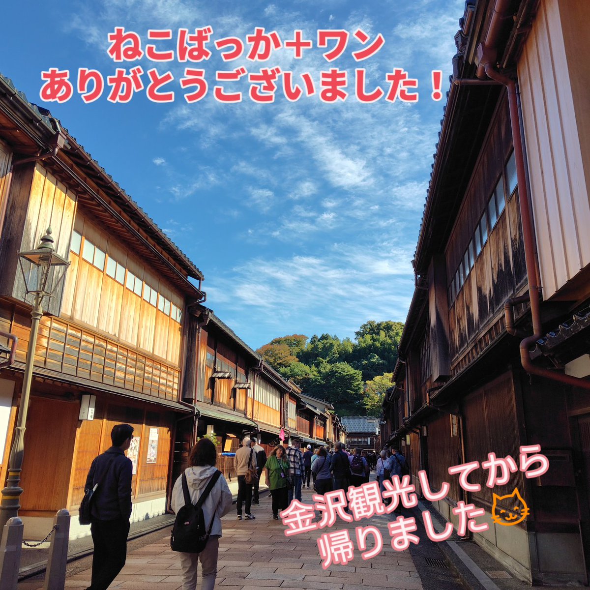 ねこばっか＋ワン、終了いたしました！

イベント期間中はあいにくの雨でしたが、それでもたくさんの方に作品をご覧いただけて嬉しかったです😺

また出展させていただければと思います󾬍